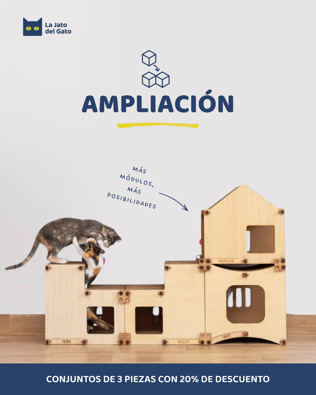 AMPLIACIÓN