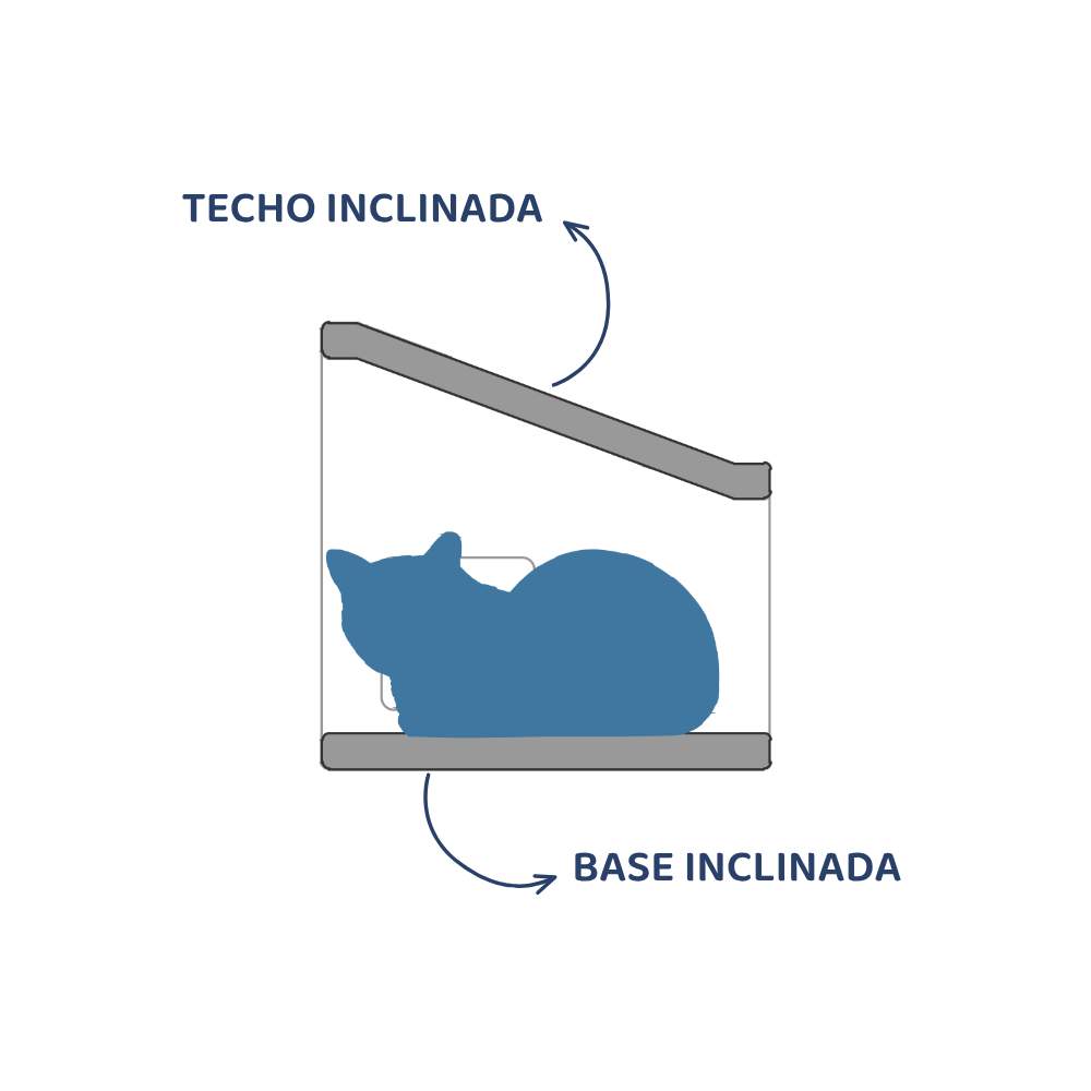 Pack Repuestos Jatos Chicha