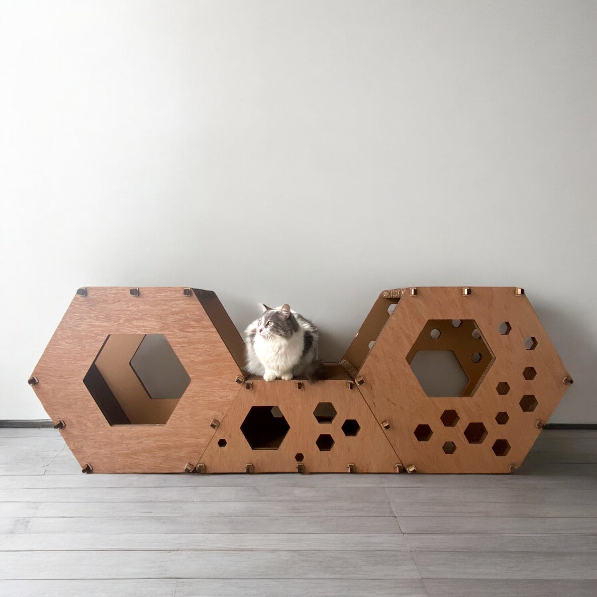 Conjunto 2 Bee + 1/2 Bee + Plataforma