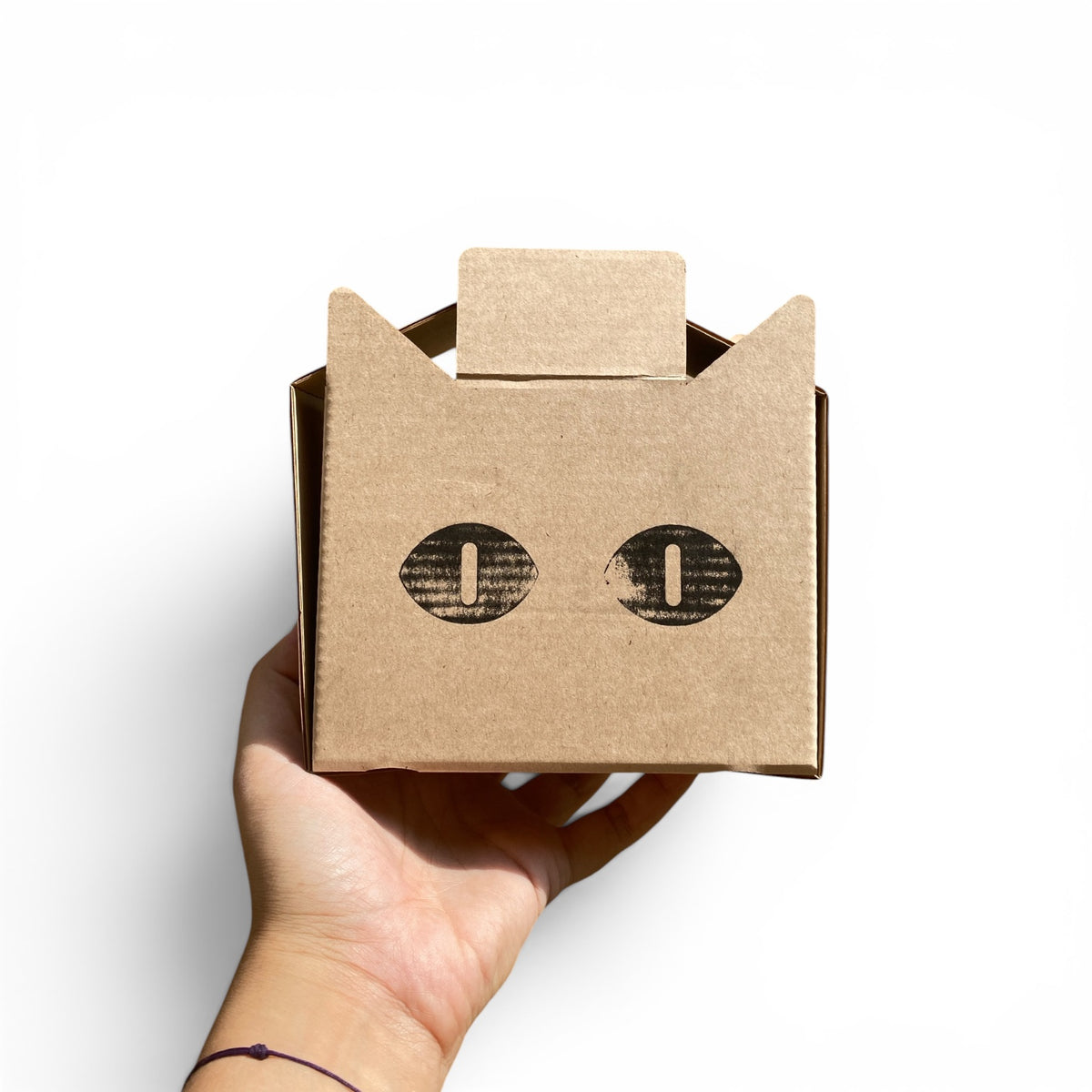 Eco Box