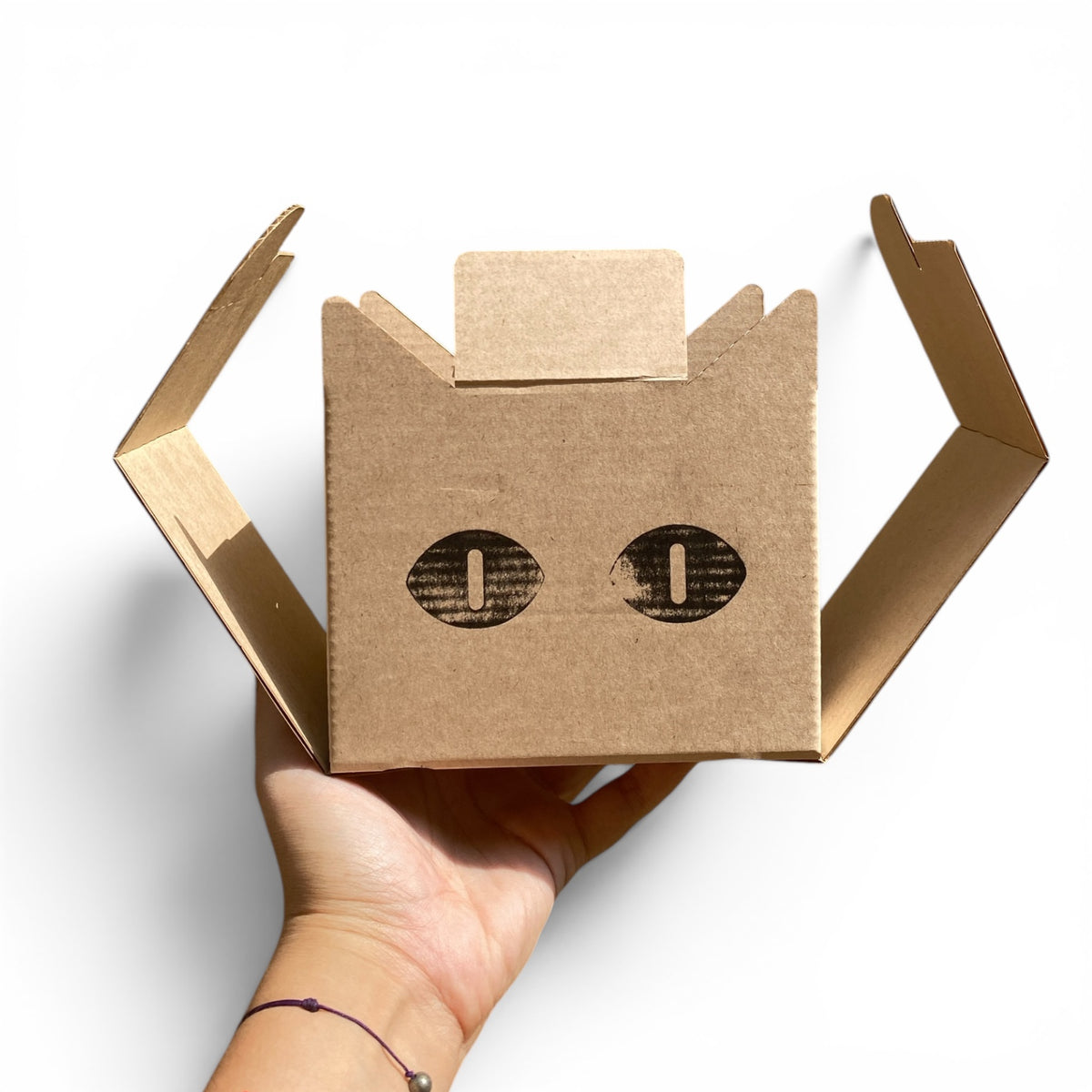 Eco Box