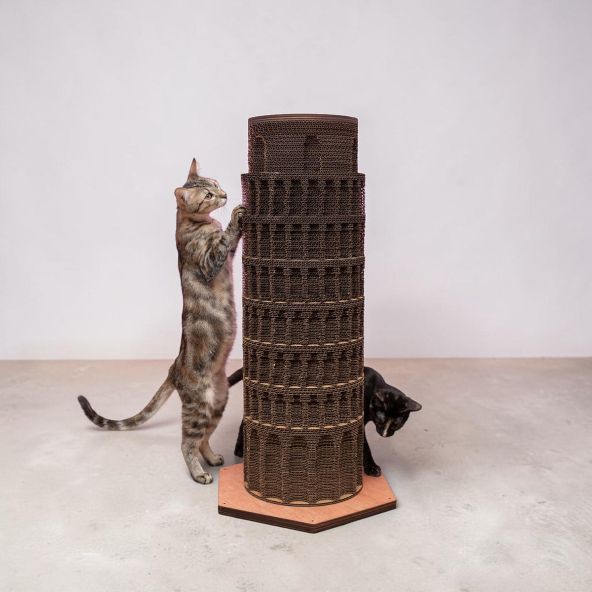 Torre Pisa