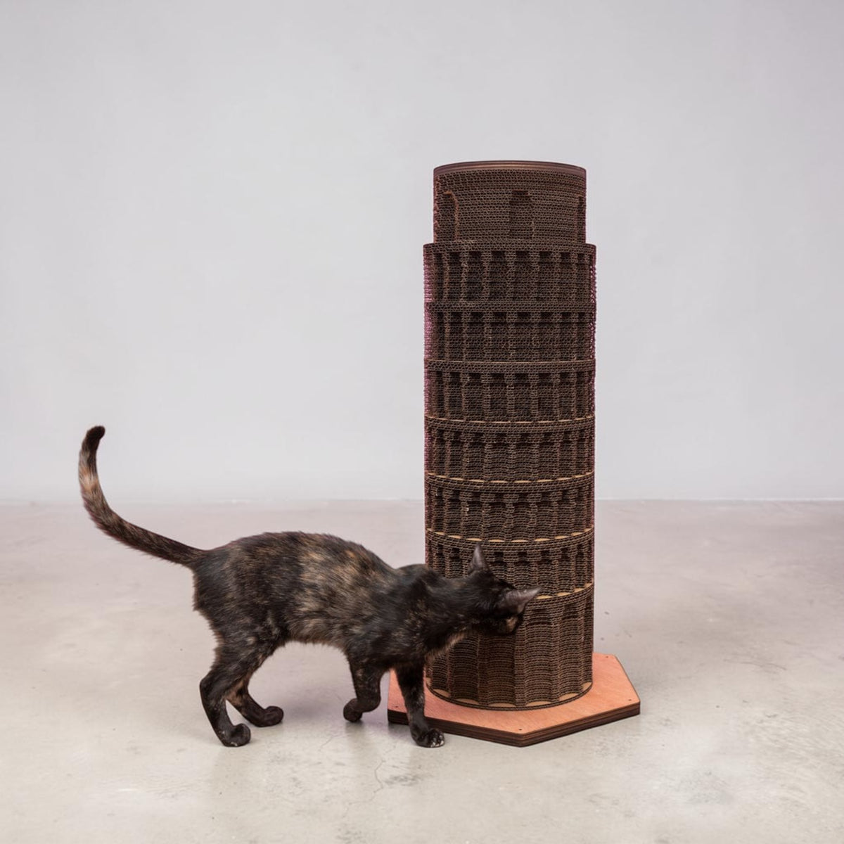 Torre Pisa